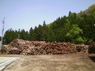 木材の一時保存