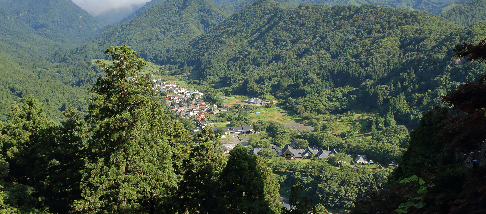 株式会社下山製材